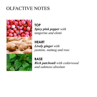 MOLTON BROWN Fiery Pink Pepper Body Lotion 300 Ml 6 MOLTON BROWN Fiery Pink Pepper Body Lotion 300 Ml – Bild 4