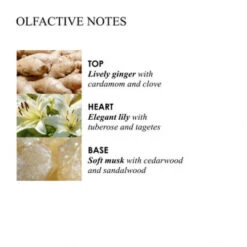 MOLTON BROWN Heavenly Gingerlily Hand Lotion 300 Ml 9 MOLTON BROWN Heavenly Gingerlily Hand Lotion 300 Ml -Kosmetikgeschäft 1309722 MOLTON BROWN Heavenly Gingerlily Hand Lotion 300 ml.9e19d409