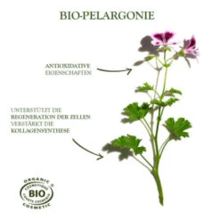 Sanoflore Creme Merveilleuse 40 Ml -Kosmetikgeschäft 1364987 Sanoflore Creme merveilleuse 40 ml.67820ba2