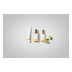 Dr. Hauschka Ausgleichendes Tagesfluid 50 Ml 12 Dr. Hauschka Ausgleichendes Tagesfluid 50 Ml -Kosmetikgeschäft 1367153 Dr Hauschka Ausgleichendes Tagesfluid 50 ml.922e2198