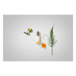 Dr. Hauschka Ausgleichendes Tagesfluid 50 Ml 11 Dr. Hauschka Ausgleichendes Tagesfluid 50 Ml -Kosmetikgeschäft 1367153 Dr Hauschka Ausgleichendes Tagesfluid 50 ml.ae182a95