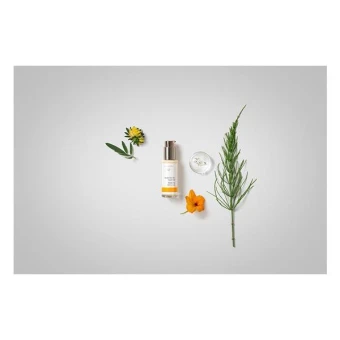 Dr. Hauschka Ausgleichendes Tagesfluid 50 Ml 5 Dr. Hauschka Ausgleichendes Tagesfluid 50 Ml – Bild 3