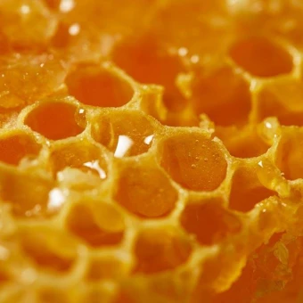 NUXE Rêve De Miel Intensiv Beruhigender Gesichtsbalsam 50 Ml 9 NUXE Rêve De Miel Intensiv Beruhigender Gesichtsbalsam 50 Ml – Bild 7