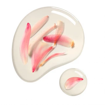 Payot Crème N°2 Sérum Douceur Pétale 30 Ml 4 Payot Crème N°2 Sérum Douceur Pétale 30 Ml – Bild 2