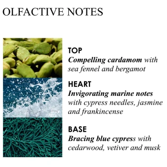 MOLTON BROWN Coastal Cypress & Sea Fennel Bath & Shower Gel Refill 400 Ml 4 MOLTON BROWN Coastal Cypress & Sea Fennel Bath & Shower Gel Refill 400 Ml – Bild 2