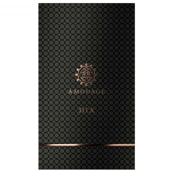 AMOUAGE Odyssey Boundless Eau De Parfum 100 Ml 5 AMOUAGE Odyssey Boundless Eau De Parfum 100 Ml – Bild 3