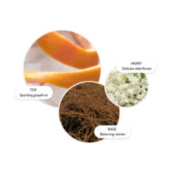 MOLTON BROWN Vintage With Elderflower Hand Lotion 300 Ml 8 MOLTON BROWN Vintage With Elderflower Hand Lotion 300 Ml -Kosmetikgeschäft 1469282 MOLTON BROWN Vintage With Elderflower Hand Lotion 300 ml.9ba8188a