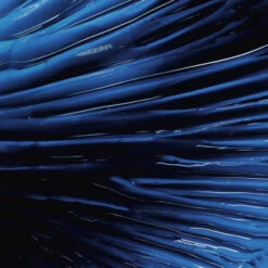 Biotherm Homme Force Supreme Blue Serum 50 Ml -Kosmetikgeschäft 2530694 Biotherm Homme Force Supreme Blue Serum 50 ml.c592fd79